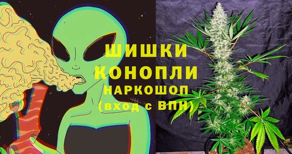 гидропоника Медногорск
