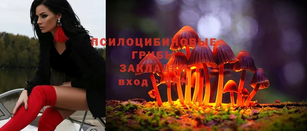 стаф Мегион