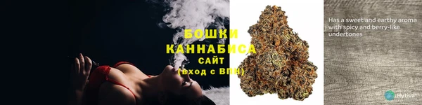 стаф Мегион
