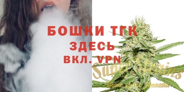 гидропоника Медногорск